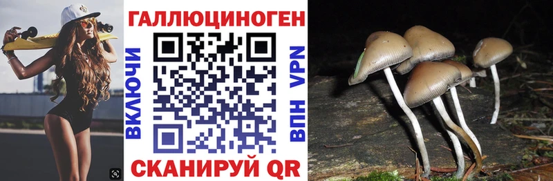где купить наркоту Микунь кракен tor Галлюциногенные грибы прущие грибы